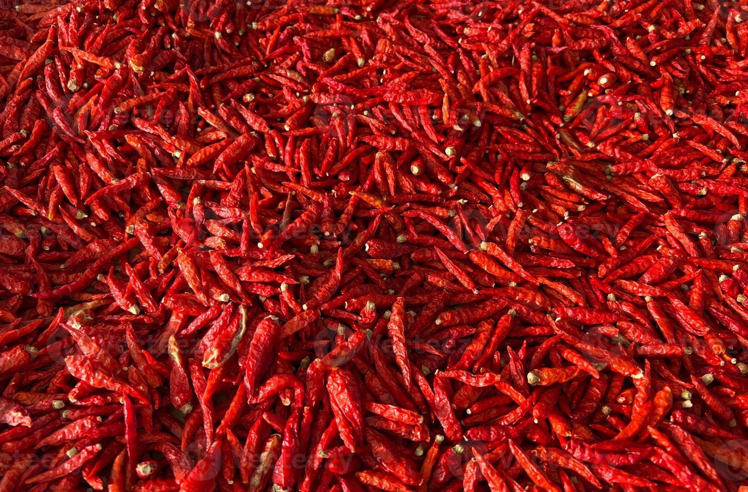 Red Chillies