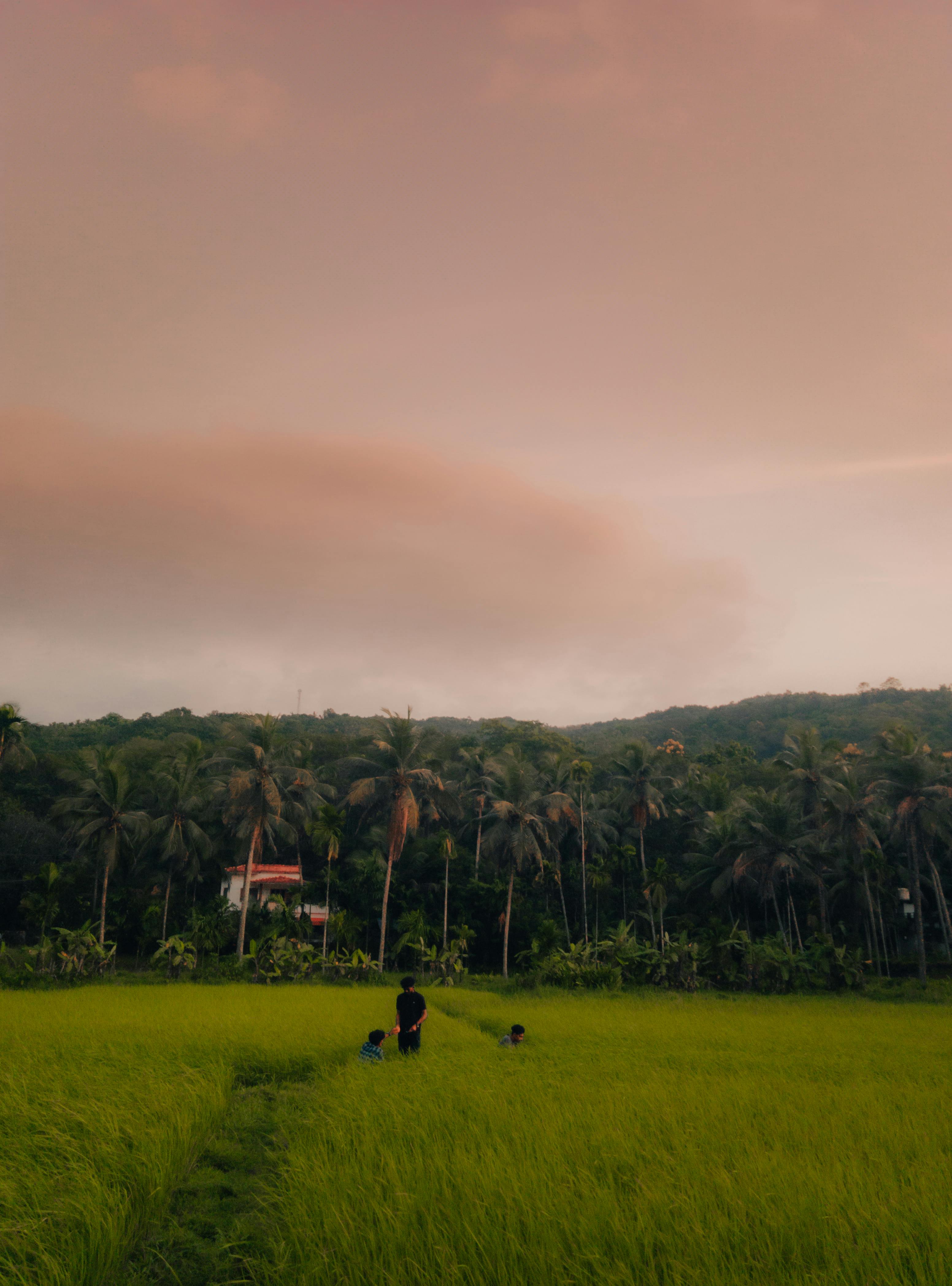 Kerala Farmers